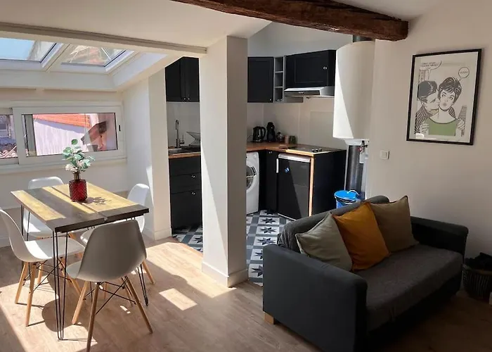 T2 Au Coeur De Quartier Carmes/esquirol * تولوز